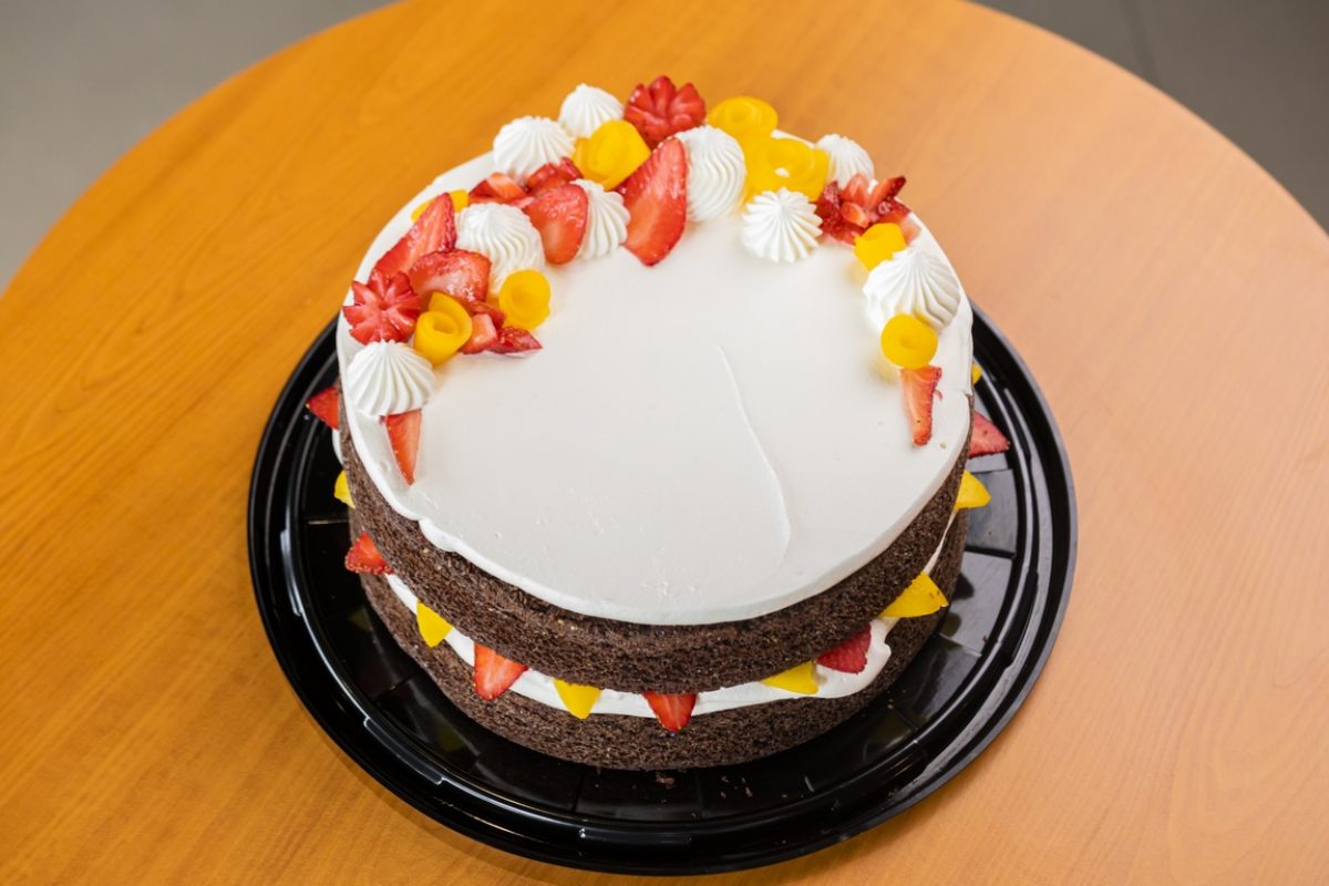 pastel splendido chocolate1_web